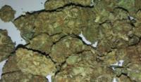 Legit marijuana dispensary online image 1